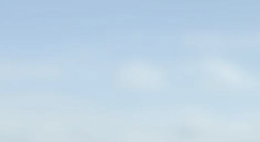Election Banner
